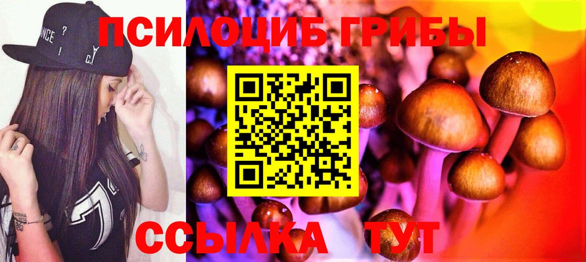 Галлюциногенные грибы мицелий  Вход с VPN  купить   Великие Луки 