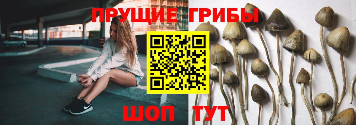Галлюциногенные грибы Magic Shrooms Великие Луки